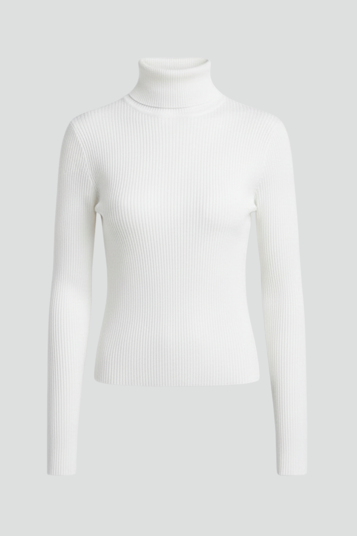 Women's Soft Ribbed Turtleneck Sweater