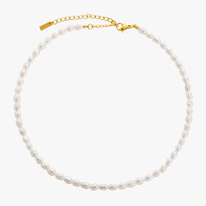 Women Choker Necklace Clear Freshwater Pearls 18K Gold-Plated Adjustable